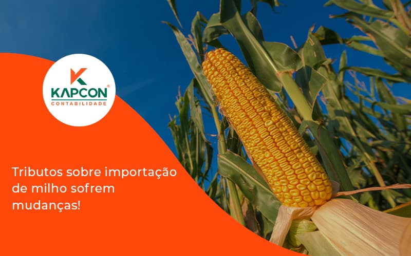 Tributos Sobre Importação De Milho Sofrem Mudanças! Kapcon - Notícias e Artigos Contábeis em São Paulo | Kapcon Contabilidade